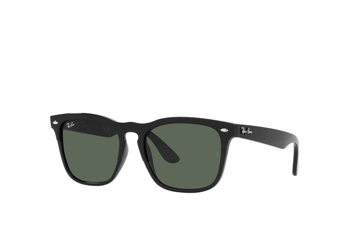 Ray-Ban 4487 Sunglass