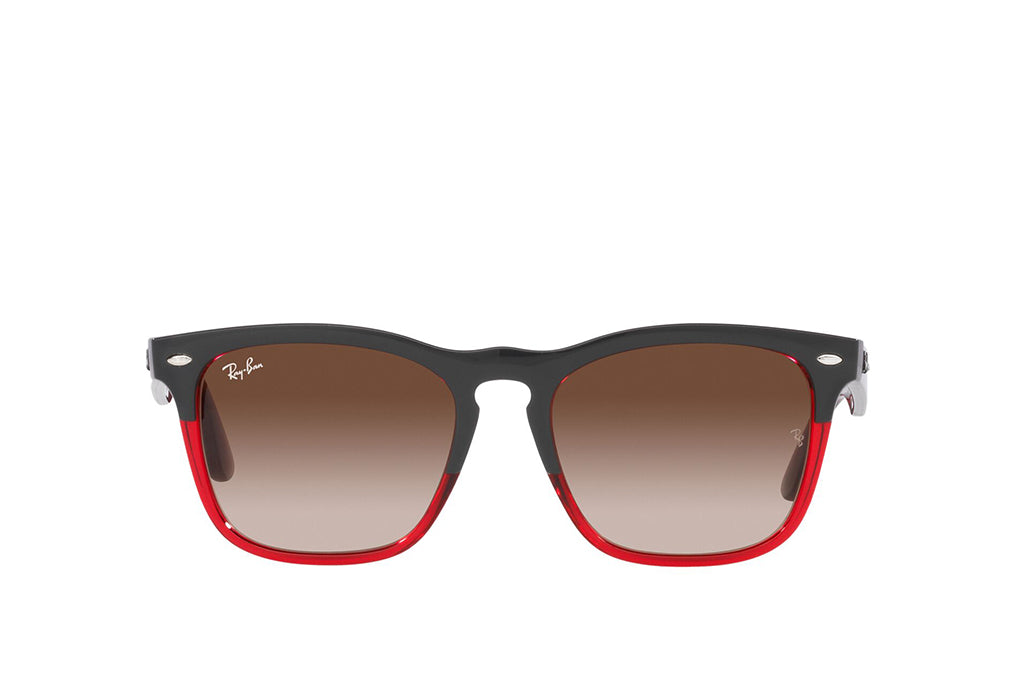 Ray-Ban 4487 Sunglass