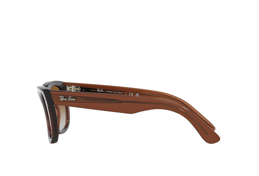 Ray-Ban 0502S Sunglass