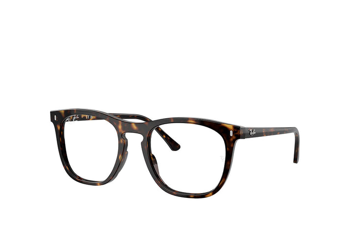 Ray-Ban 2210V Spectacle