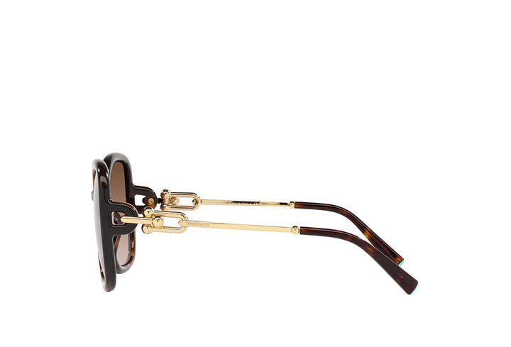 Tiffany & Co. 4202U Sunglass