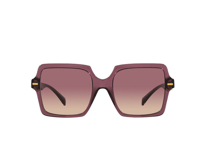 Versace 4441 Sunglass