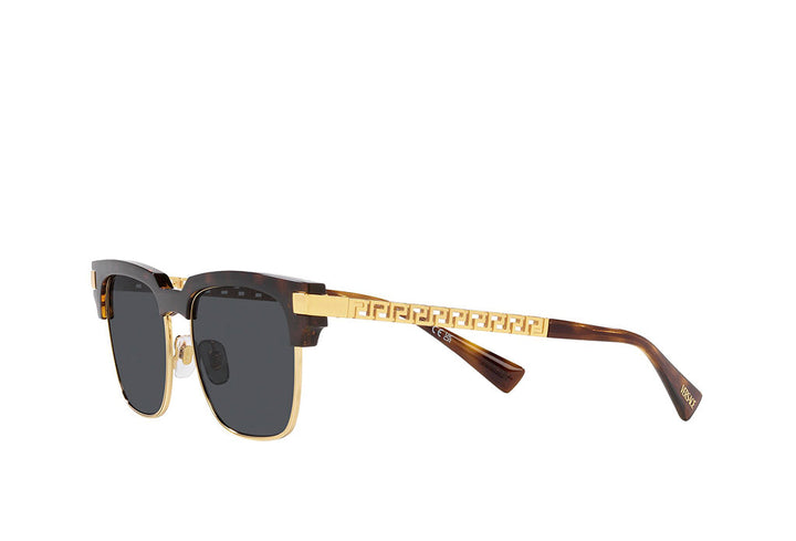 Versace 4447 Sunglass