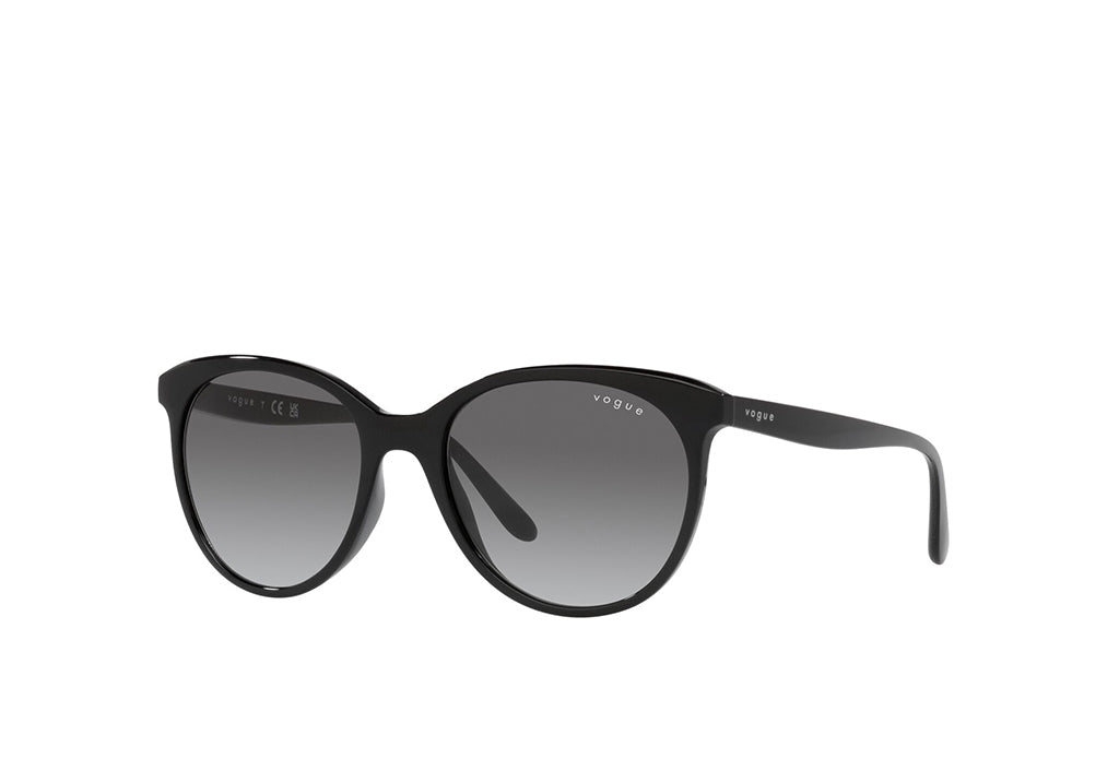 Vogue 5453S Sunglass