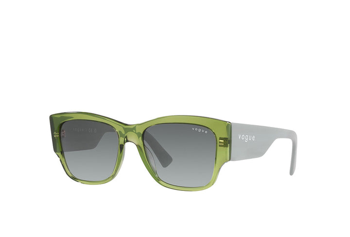Vogue 5462S Sunglass
