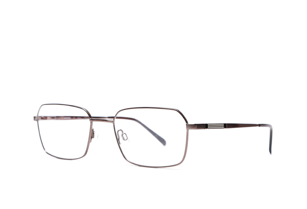 Spectacle
