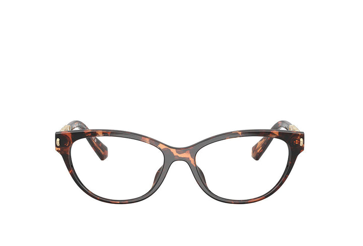 Michael Kors 4171U Spectacle