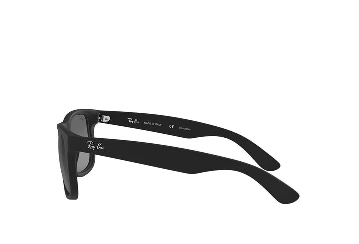 Ray-Ban 4165 Sunglass