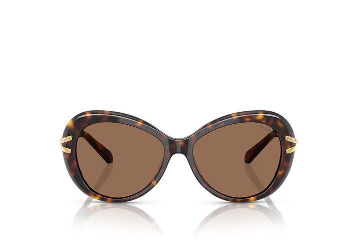 Swarovski 6026 Sunglass