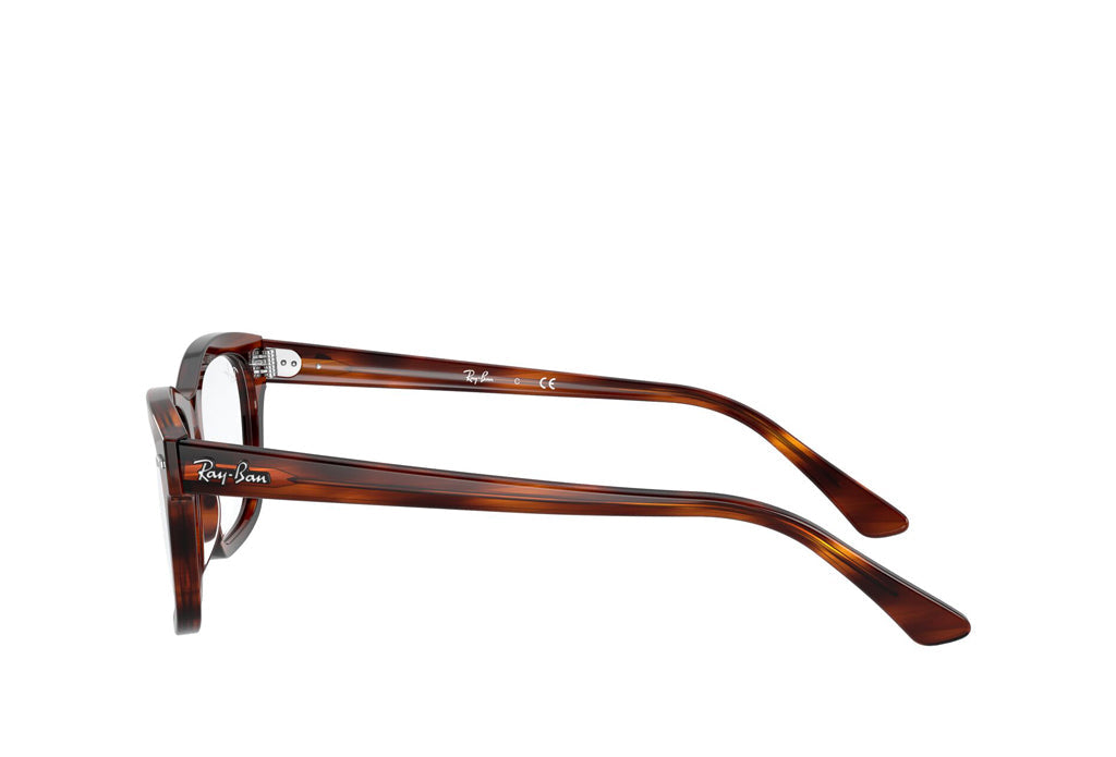 Ray-Ban 5383 Spectacle