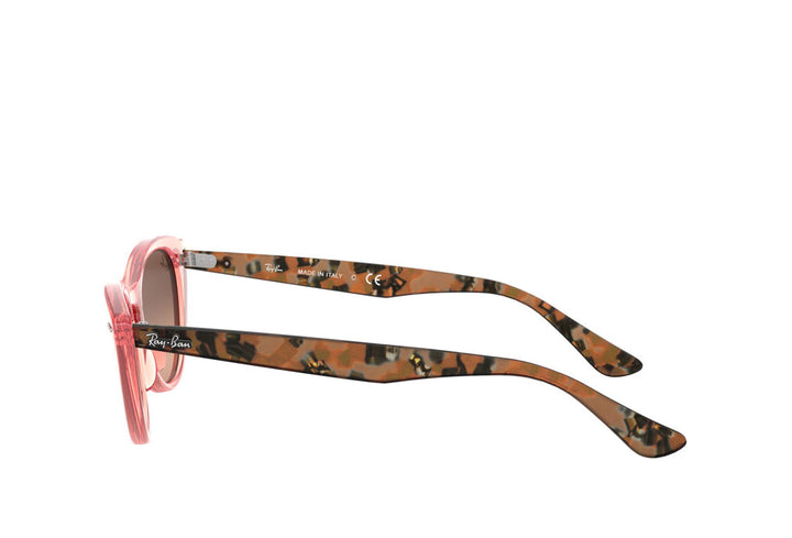 Ray-Ban 4314N Sunglass