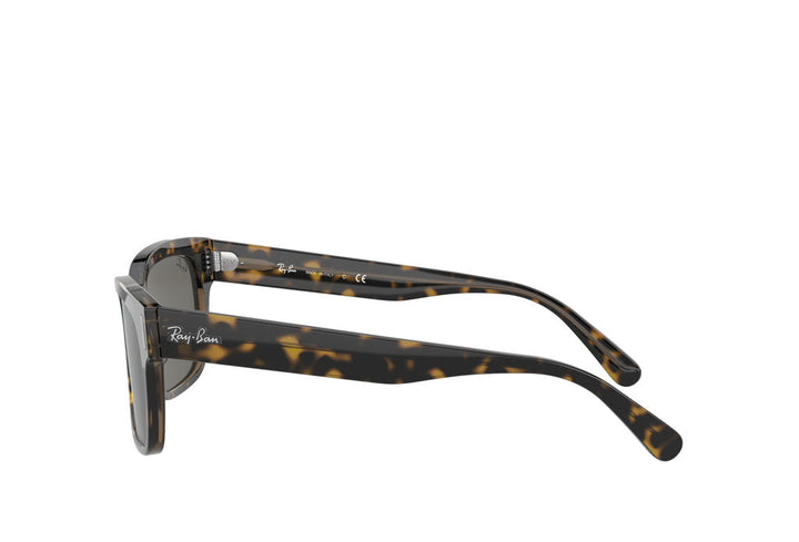 Ray-Ban 2190 Sunglass