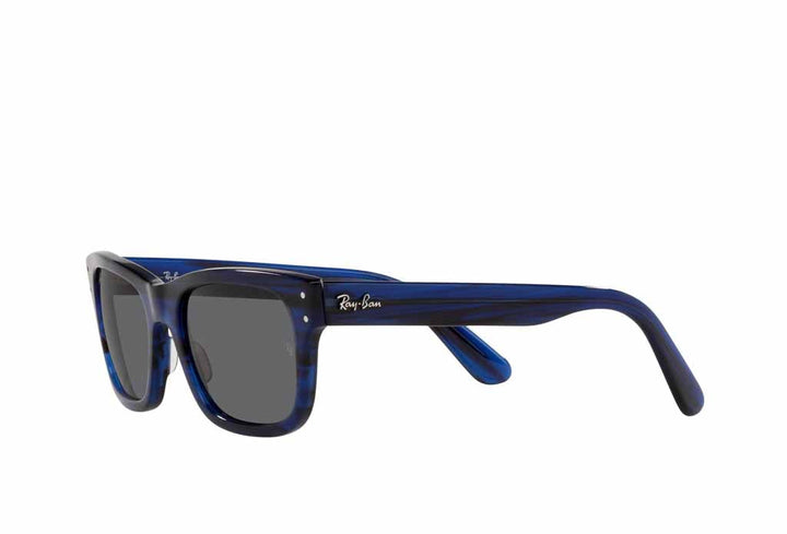 Ray-Ban 2283 Sunglass