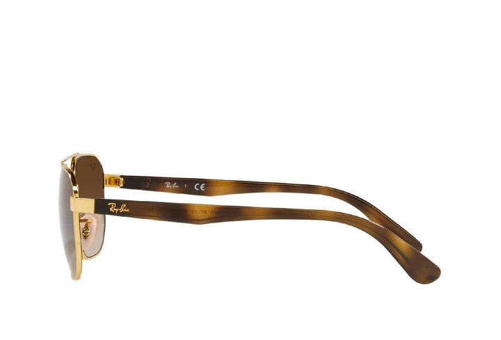 Ray-Ban 3693I Sunglass