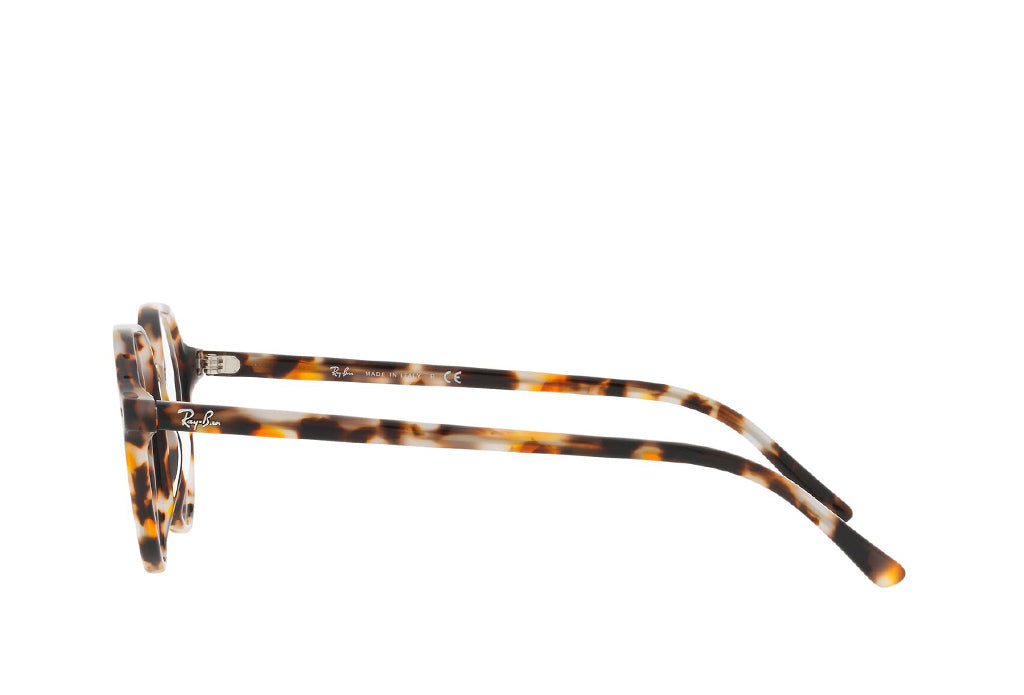 Ray-Ban 5395 Spectacle