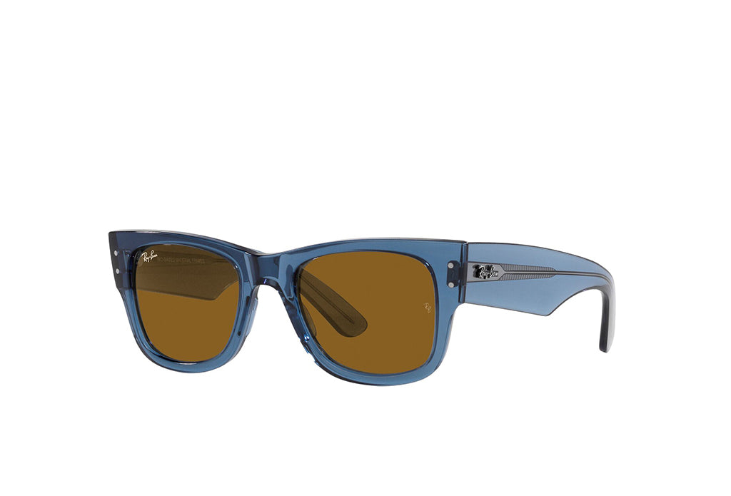 Ray-Ban 0840S Sunglass
