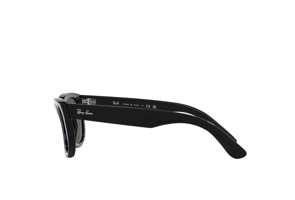 Ray-Ban 0502S Sunglass