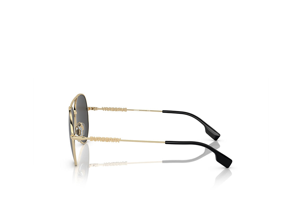 Burberry 3147 Sunglass
