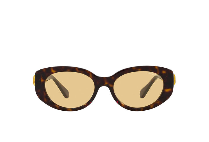 Swarovski 6002 Sunglass
