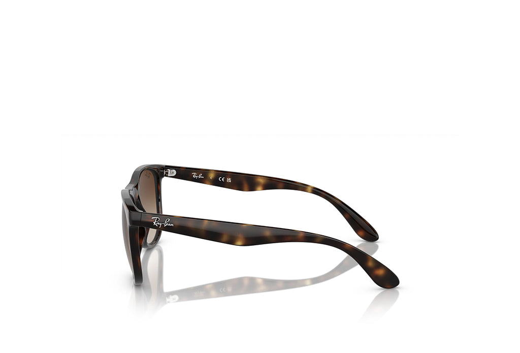 Ray-Ban 4412I Sunglass
