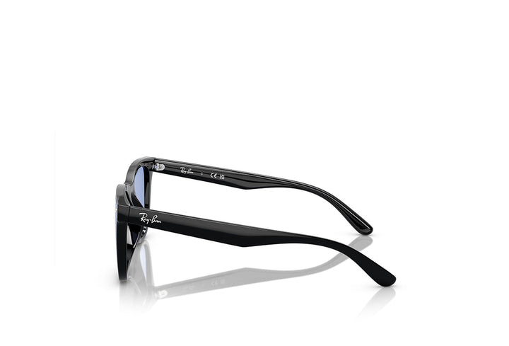 Ray-Ban 4420 Sunglass