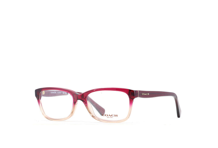 Coach 6089 Spectacle