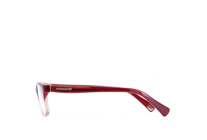Coach 6089 Spectacle