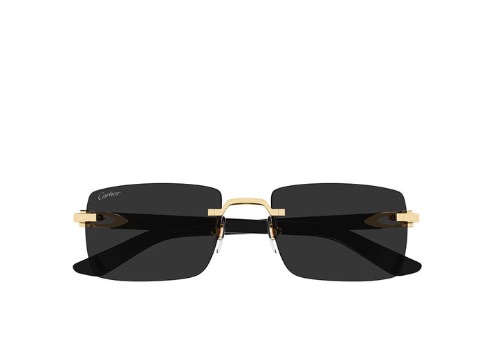 Cartier 0579S Sunglass