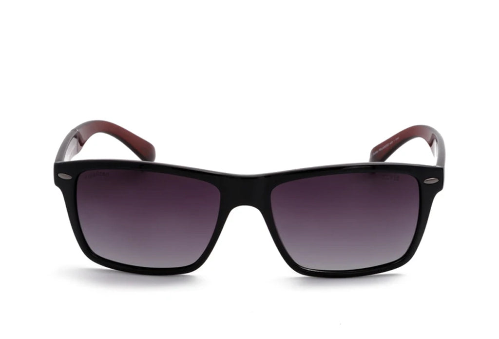 Elvis 249 Sunglass