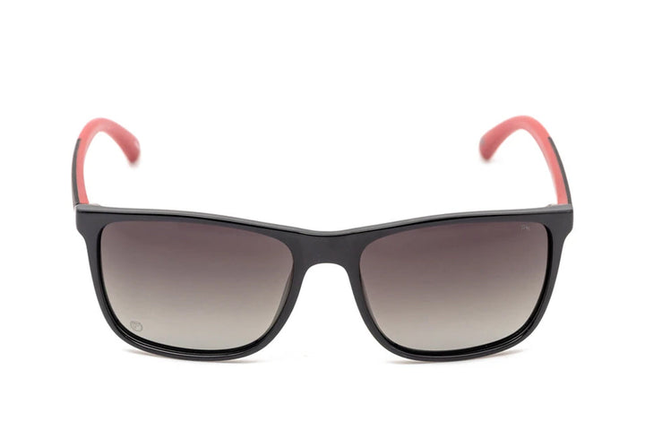 Phillipe Morelle 843 Sunglass