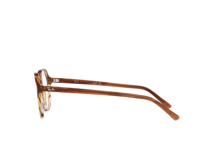 Ray-Ban 5395 Spectacle