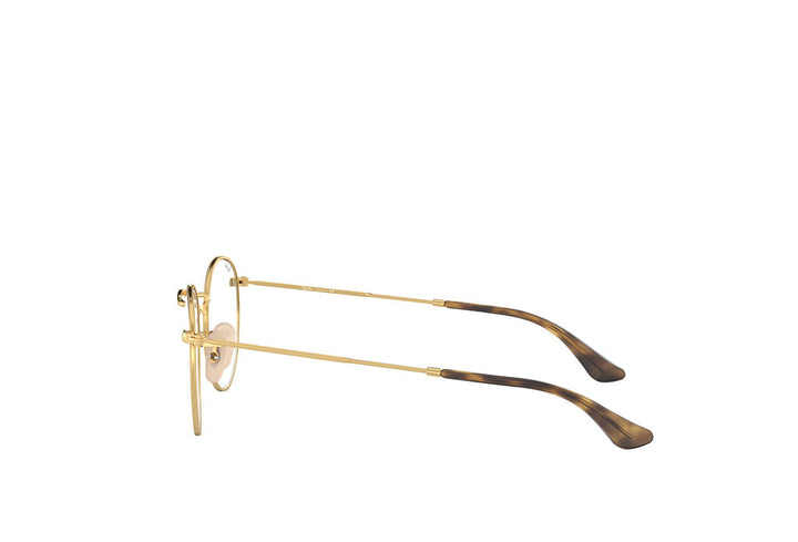 Ray-Ban 3447V Spectacle