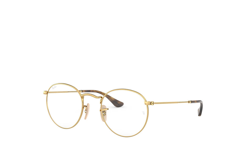 Ray-Ban 3447V Spectacle