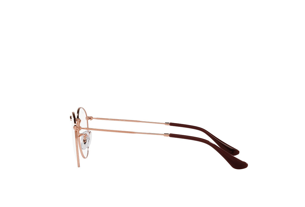 Ray-Ban 3447V Spectacle