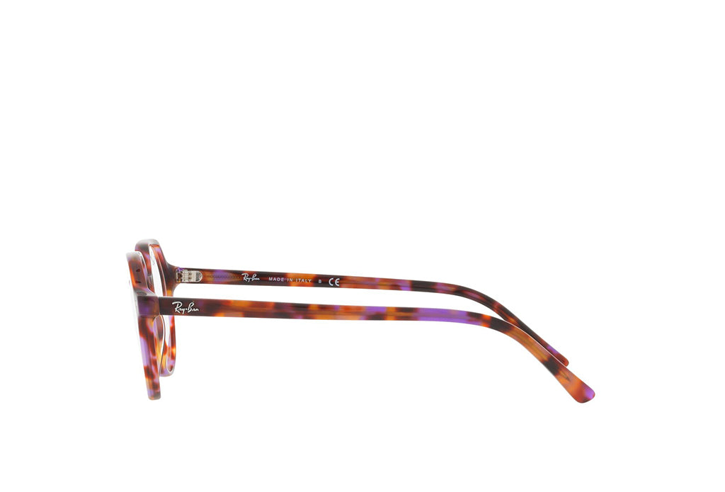 Ray-Ban 5395 Spectacle