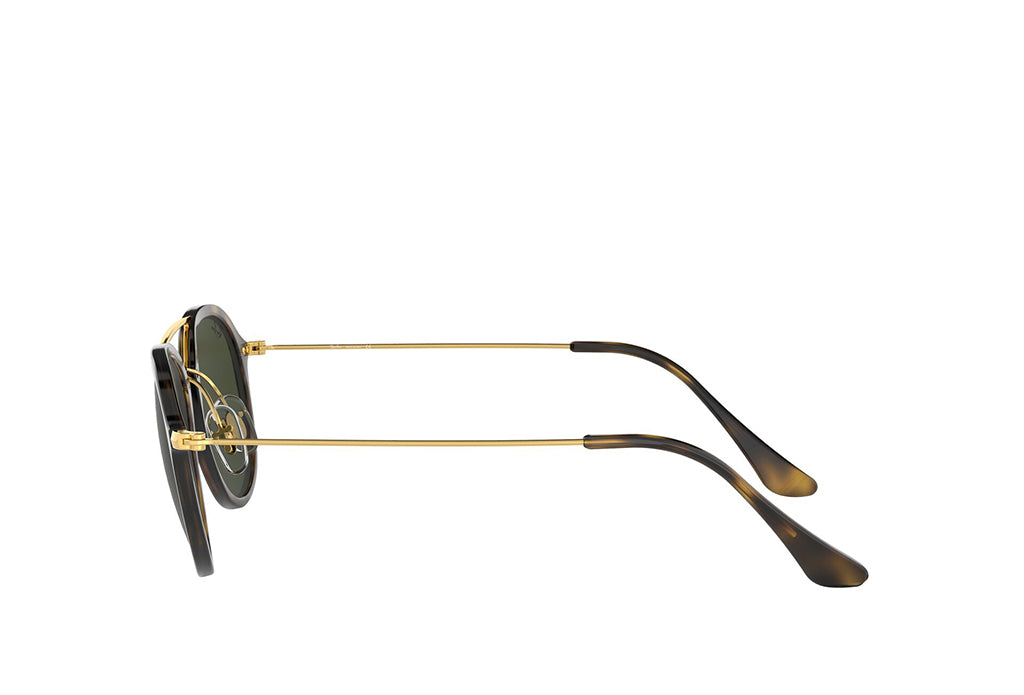 Rayban 4253 Sunglass