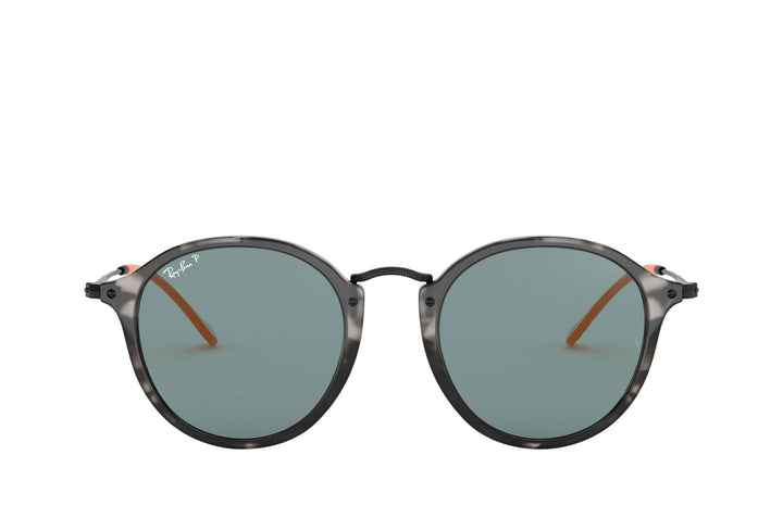 Rayban 2447 Sunglass