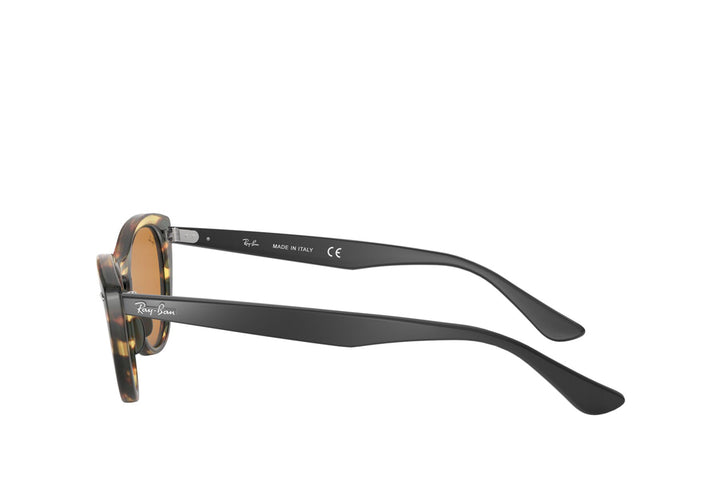 Rayban 4314N Sunglass