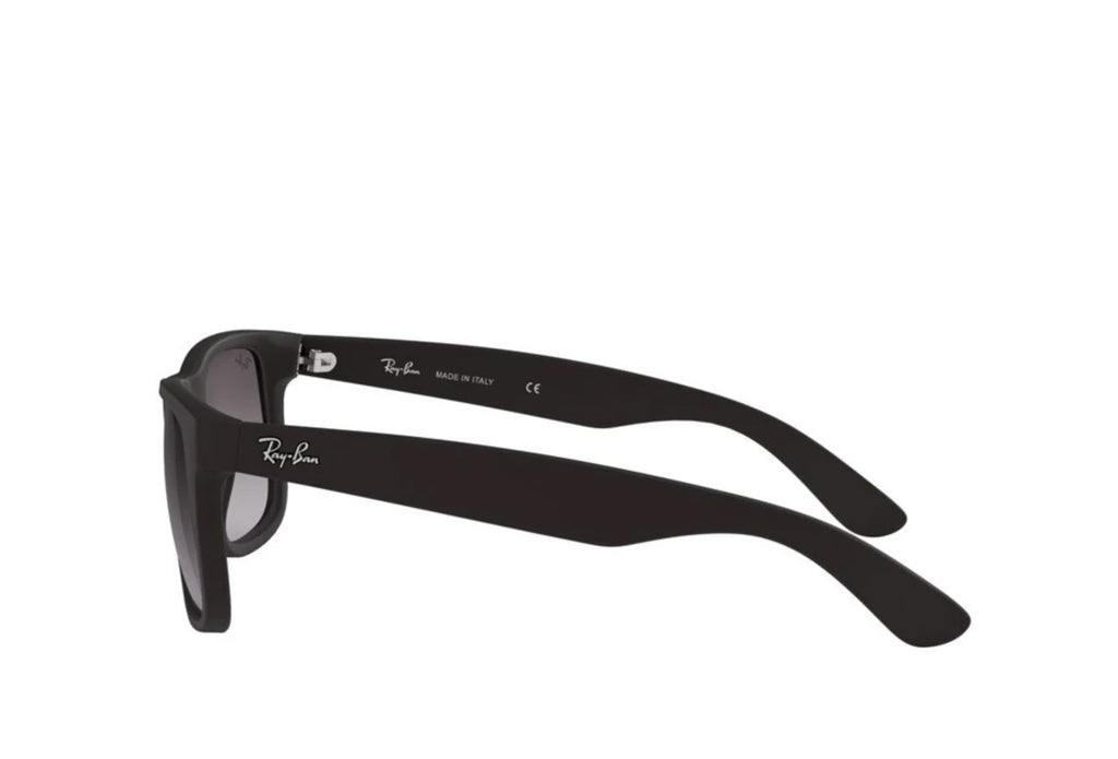 Rayban 4165 Sunglass
